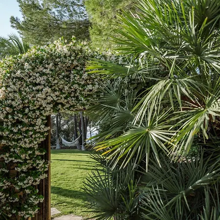 Casa La Vista Bed and Breakfast *