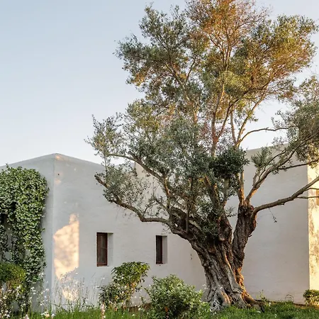 Casa La Vista Bed and Breakfast